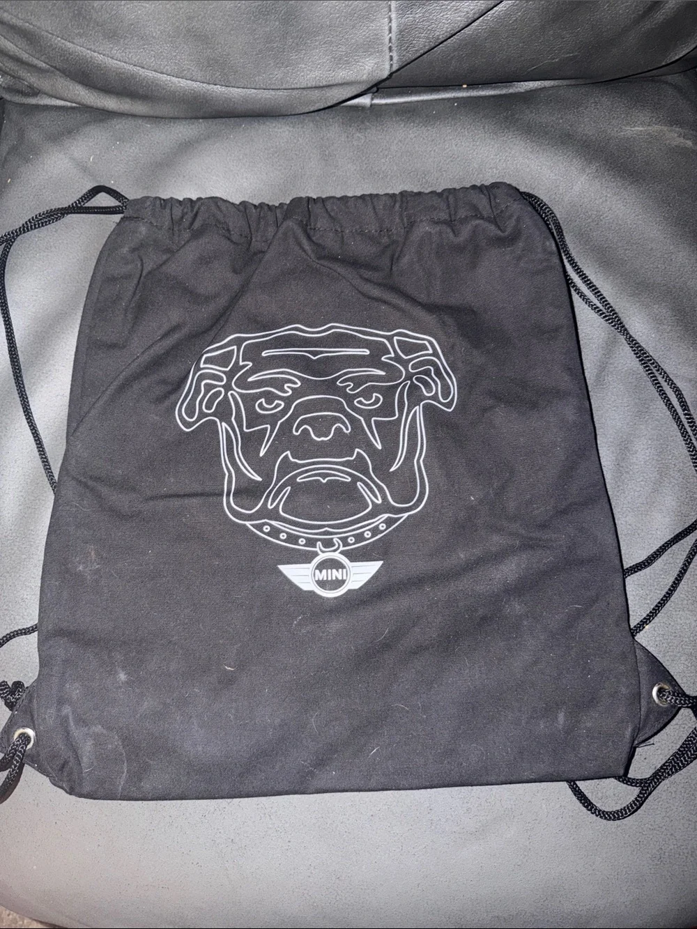 Auto mini cooper dawg insulated cooler draw string backpack bag collectible car